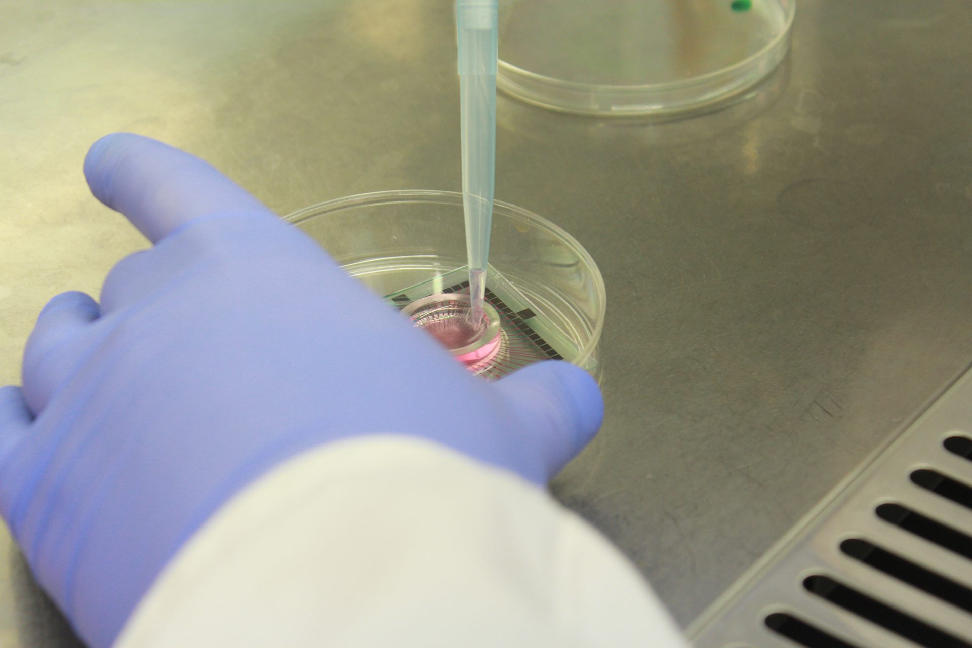 In Vitro Intelligence