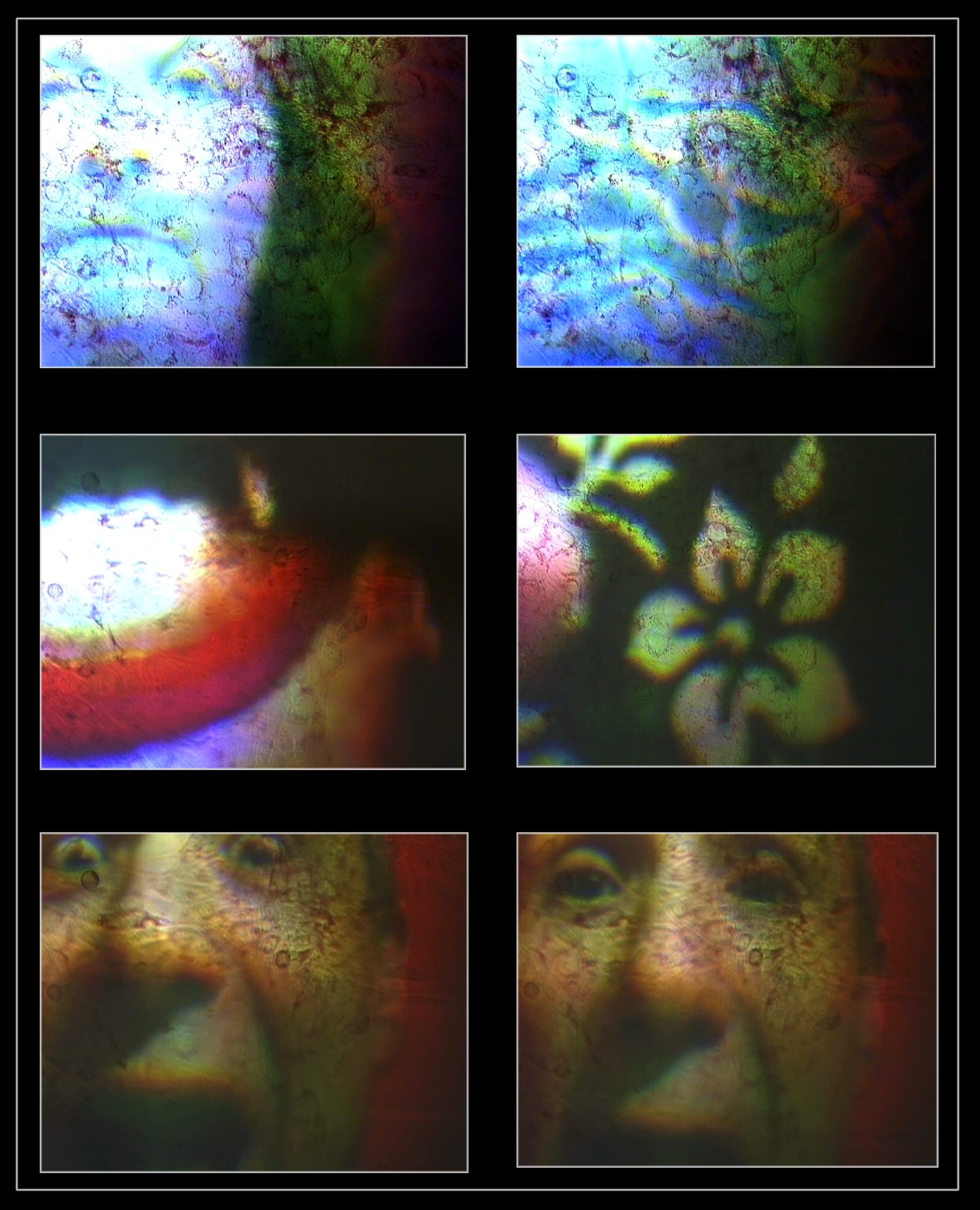 The Living Screen