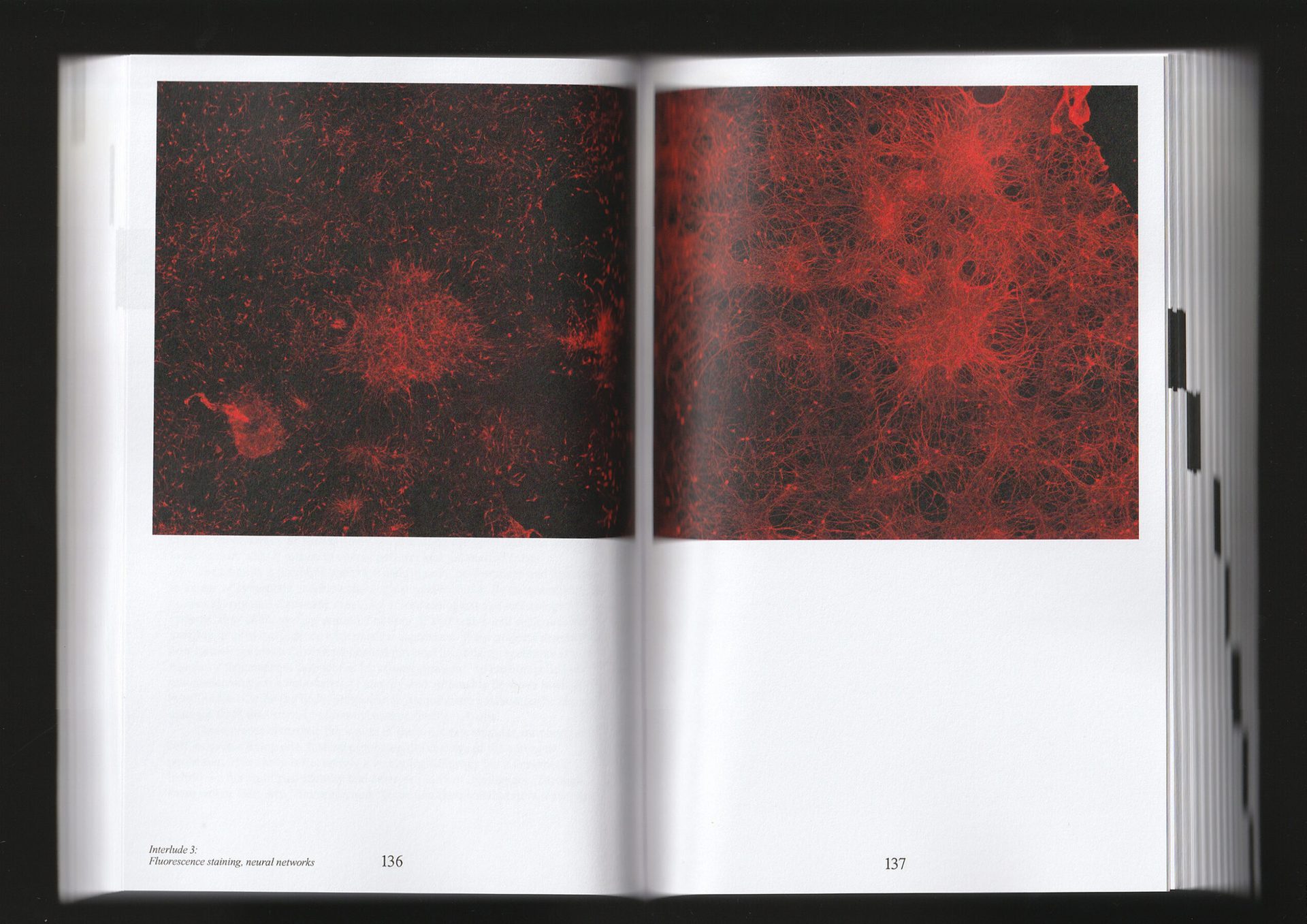 Revivification — The Book